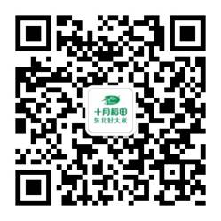 d681fec7d1d31be3d4d1223964f22bf